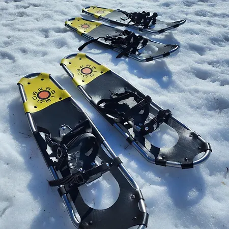 Arctic House Miekojaervi Вилла