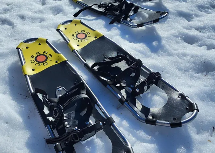 Arctic House Miekojaervi Вилла